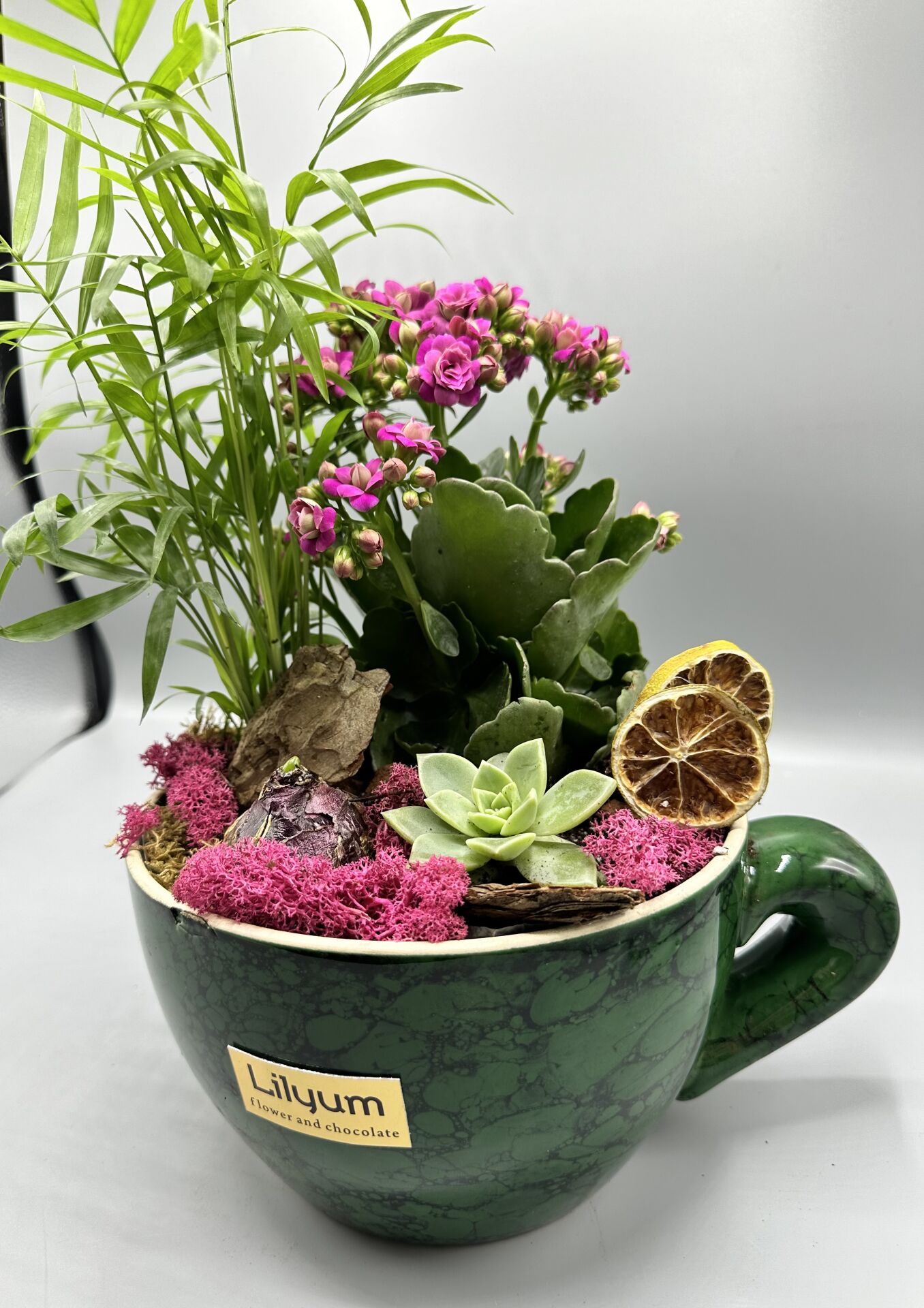 CUP GARDEN