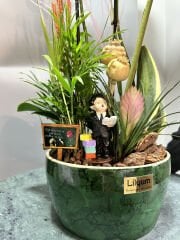 SİNDRELLA ORKİDE ARANJMANI