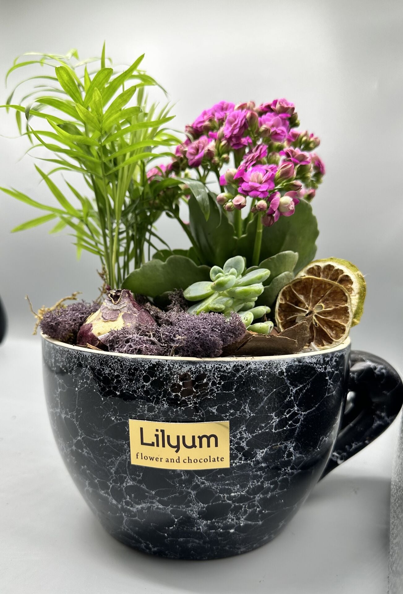 CUP GARDEN- SİYAH GRANİT GÖRÜNÜMLÜ SERAMİK SAKSIDA BİTKİ ARAJMANI