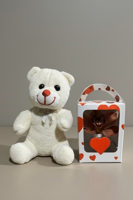 Beyaz Ayıcık & Özel Solüsyonda Canlı Orkide