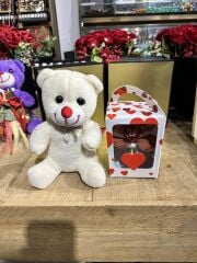 Beyaz Ayıcık & Özel Solüsyonda Canlı Orkide