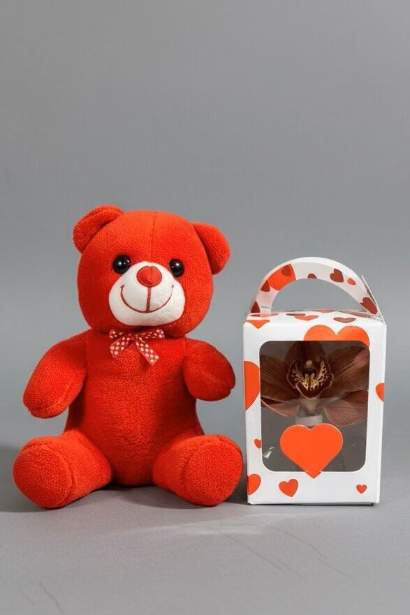 Kırmızı Ayıcık & Özel Solüsyonda Canlı Orkide